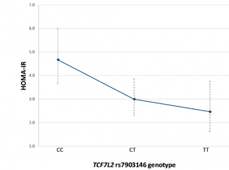 Association of TCF7L2 rs7903146 variant with index of insulin resistance (HOMA-IR) after 12 months of metformin treatment