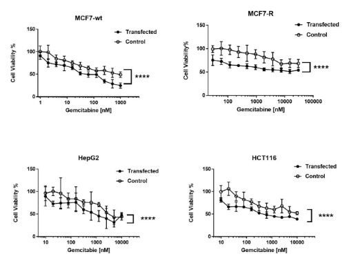Cell viability of MCF7-wt, MCF7-R, HepG2 and HCT116 cancer cells after transfection with DmdNKΔC20; each experiment was performed in triplicate