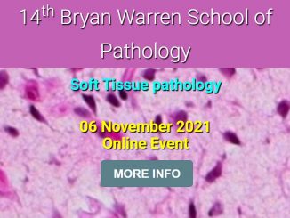 14th Bryan Warren School of Pathology: Soft tissue