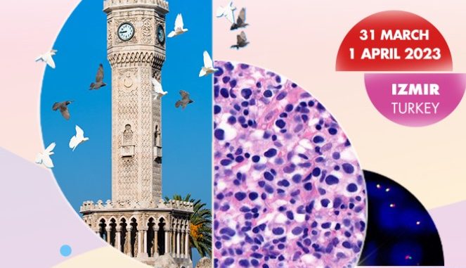 Hematopathology Course on Lymphoma, March 31-April 1 (Izmir, Turkey)