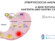 Streptococcus anginosus: A New Pathogen in Gastritis and Gastric Cancer